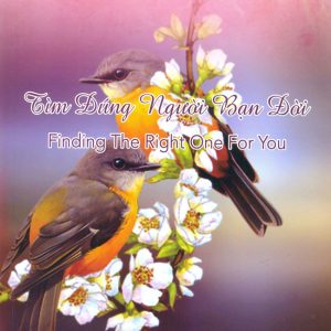 Tìm Đúng Người Bạn Đời - H.Norman Wright